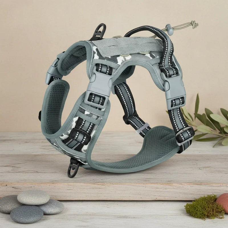 Harnais anti-traction pour chien