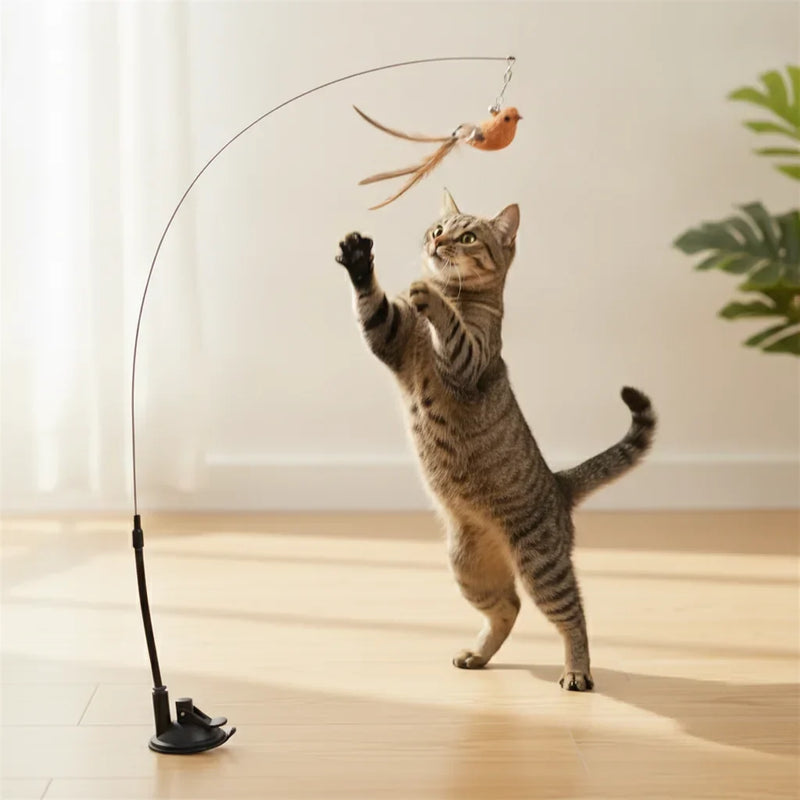 Chat sautant pour attraper un jouet oiseau à plumes