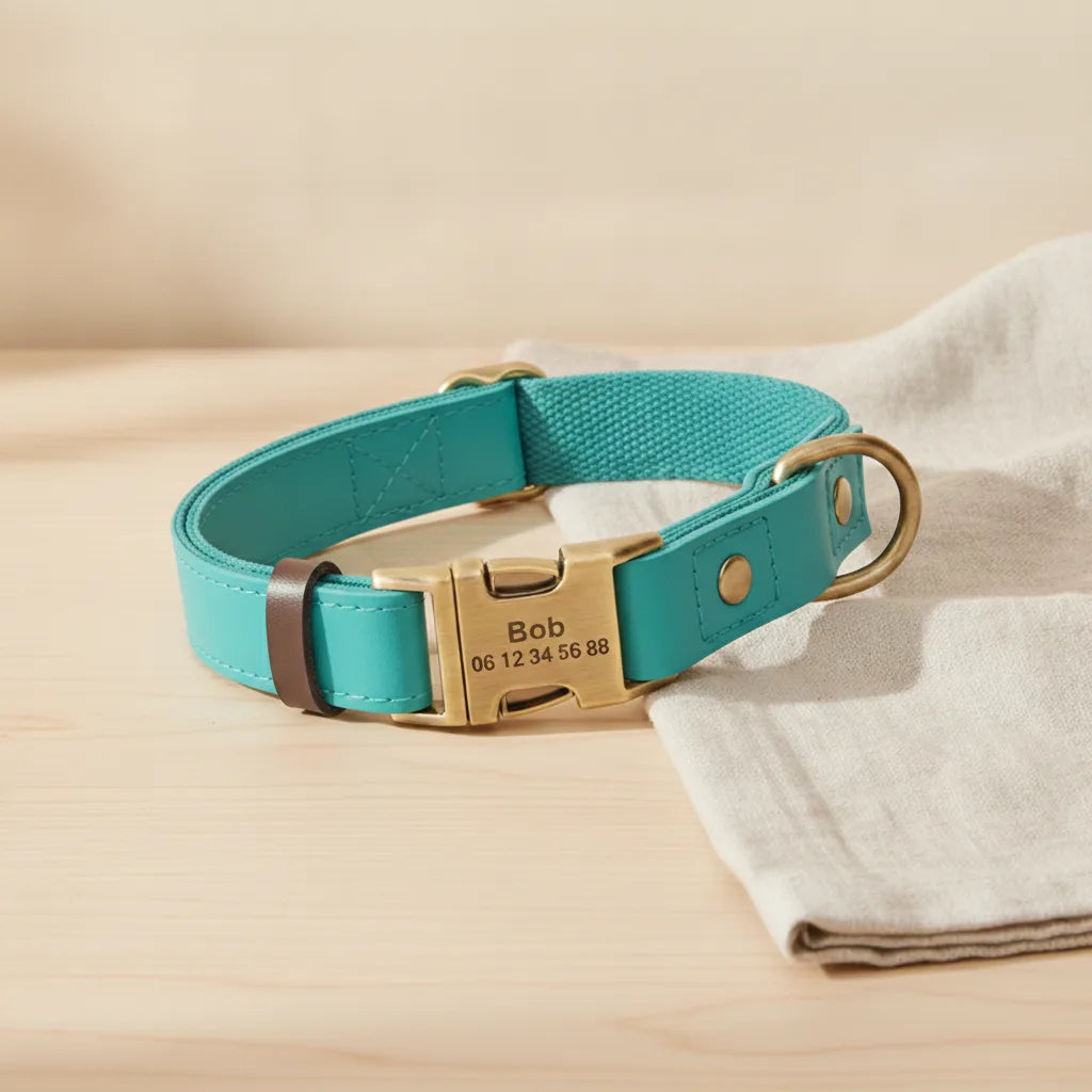 Collier pour chien en cuir turquoise personnalise avec plaque gravee, pose sur une table en bois