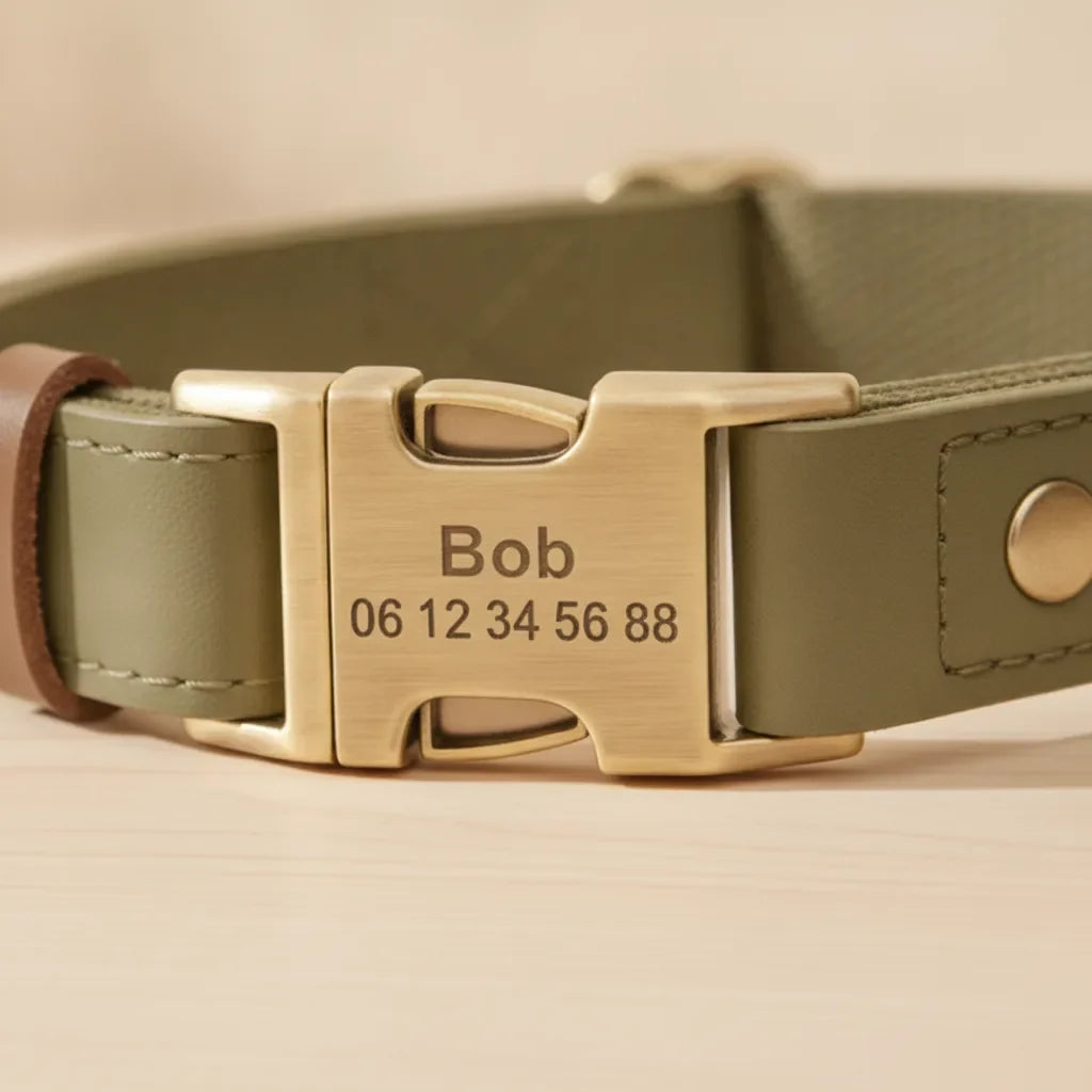 Gros plan sur la gravure personnalisee (nom et numero) de la boucle en metal dore d'un collier chien en cuir vert kaki