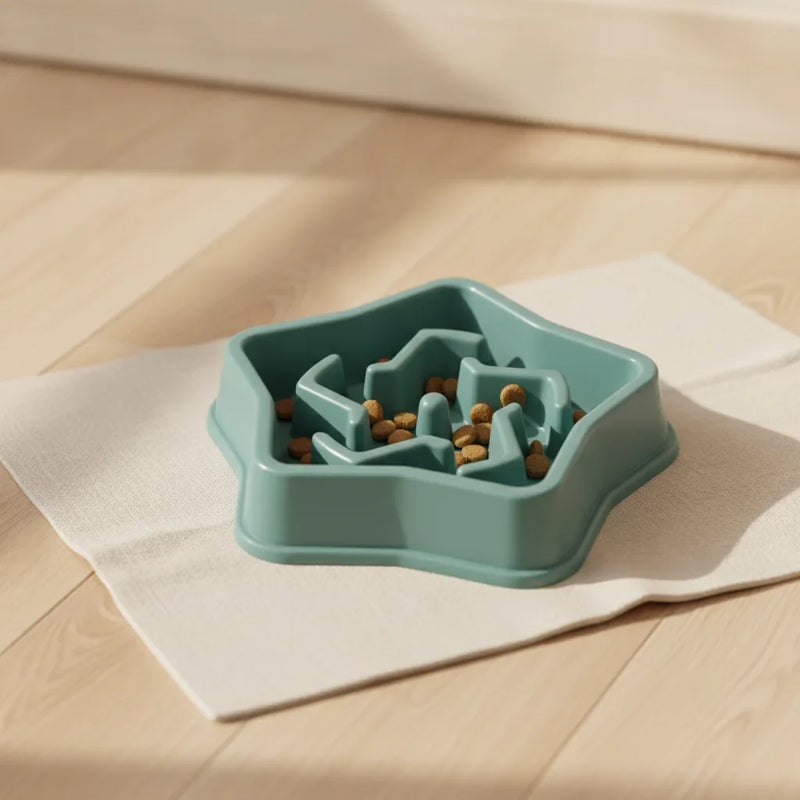 Gamelle anti-glouton pour chat en forme d'etoile, coloris teal, avec croquettes