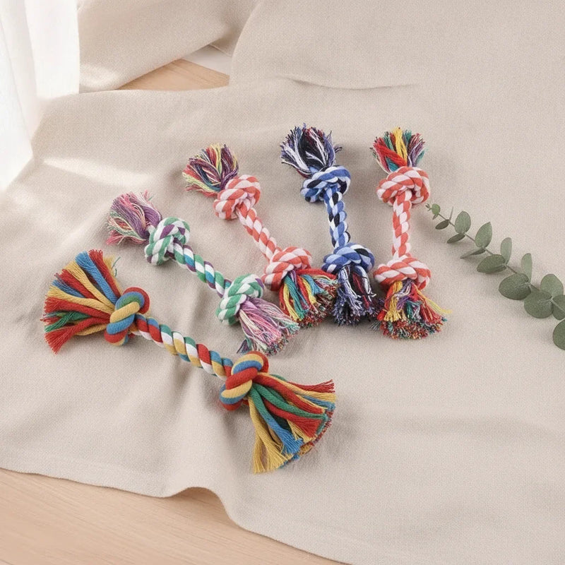 Assortiment de jouets corde en coton multicolore pour chien, plusieurs tailles