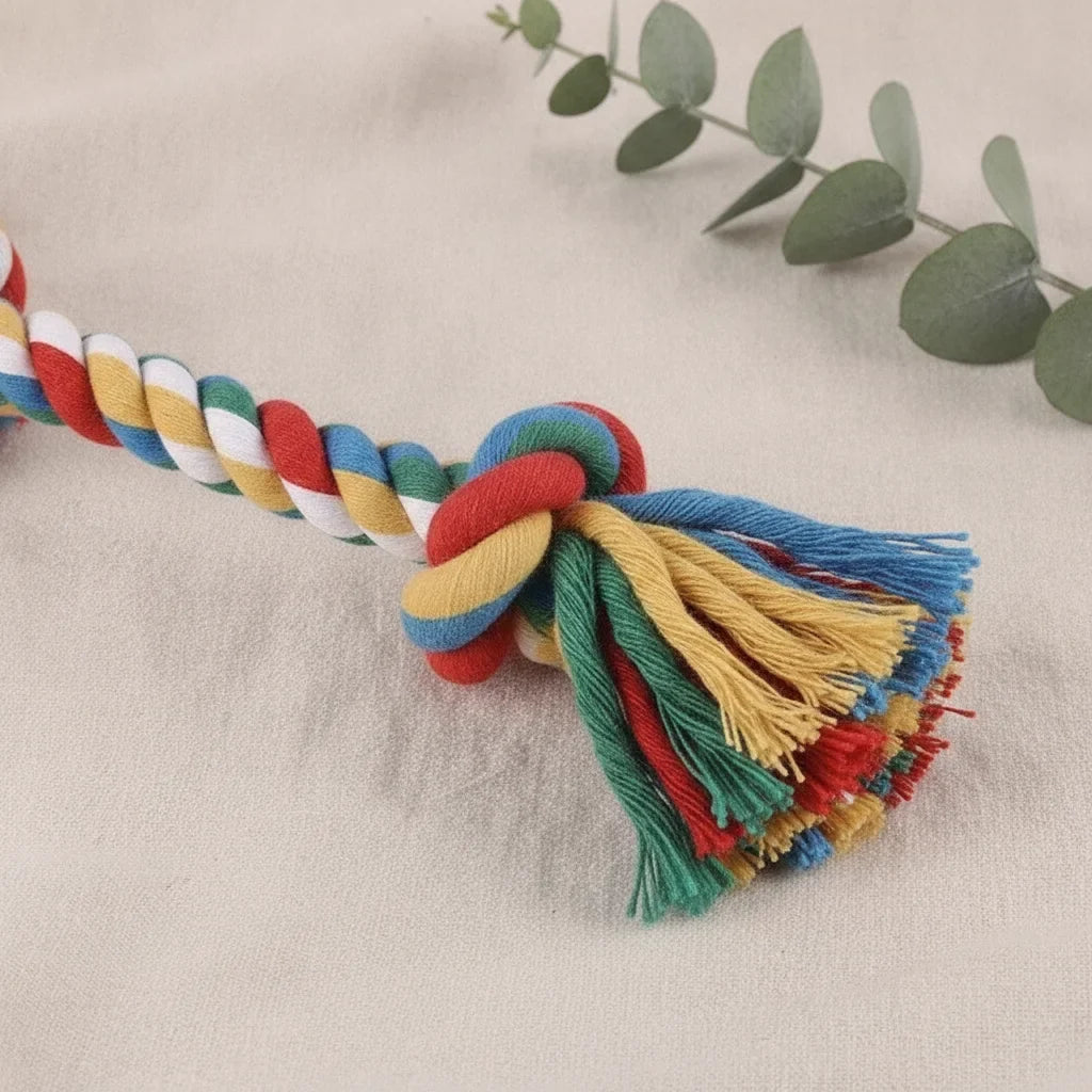 Gros plan sur le noeud d'un jouet corde en coton tresse multicolore pour chien