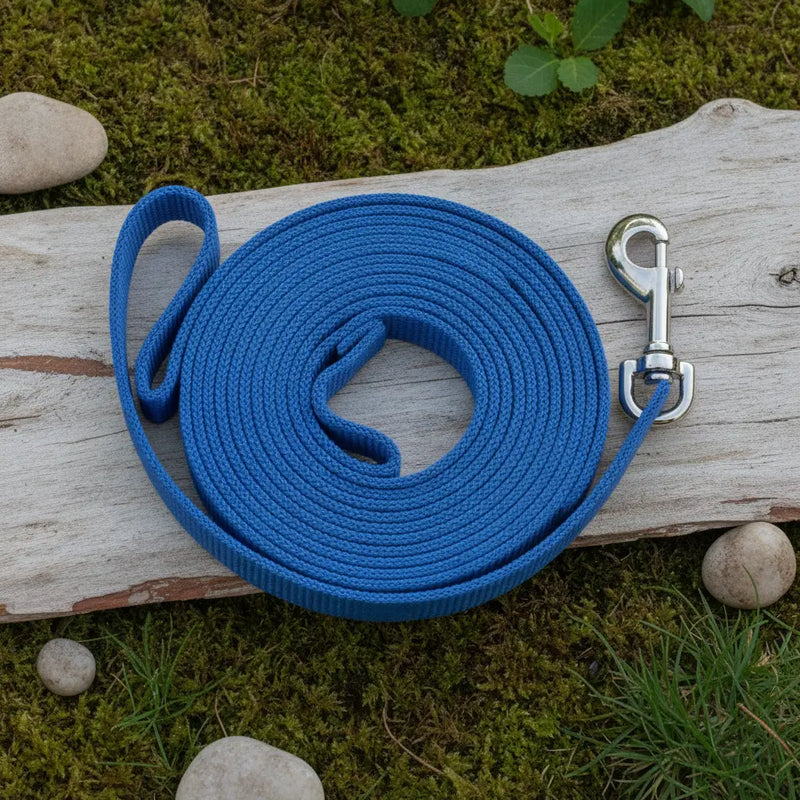Longe d'education pour chien bleue enroulee, en corde plate avec mousqueton